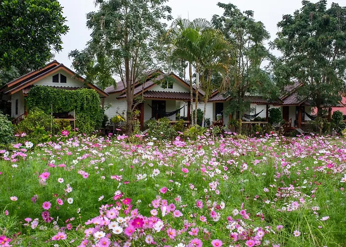 The Nest House