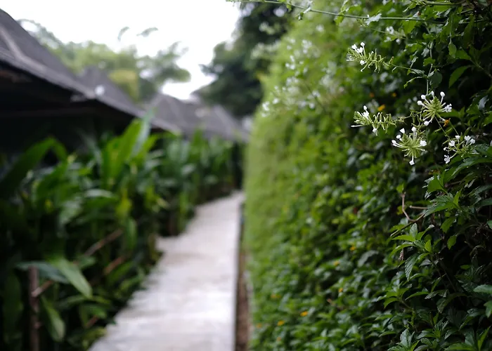 Yoma Hotel, Pai